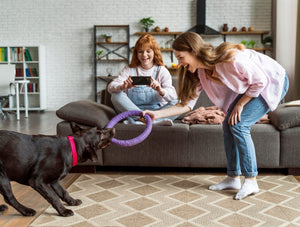 Fun and Engaging Toys for Pets