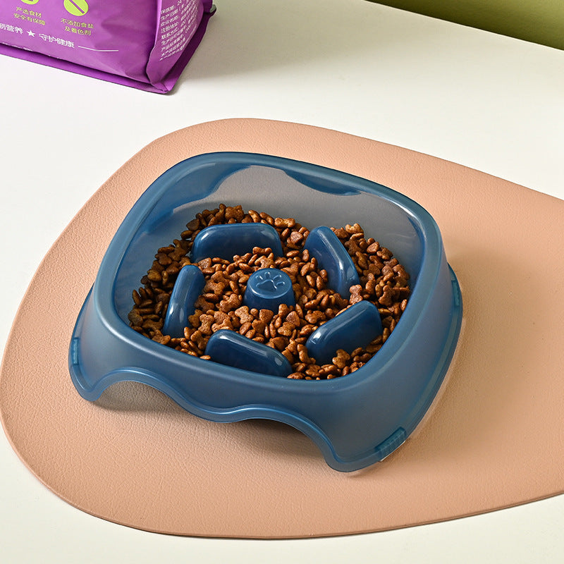 Slow Anti-Choking Pet Water And Food Bowl
