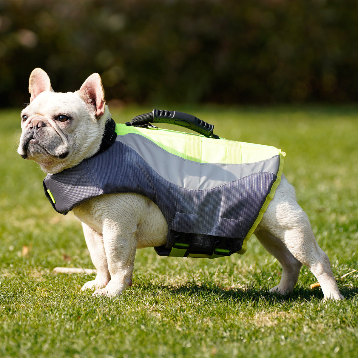 Reflective Pet Swimsuit Life Jacket Safe Buoyant Comfortable