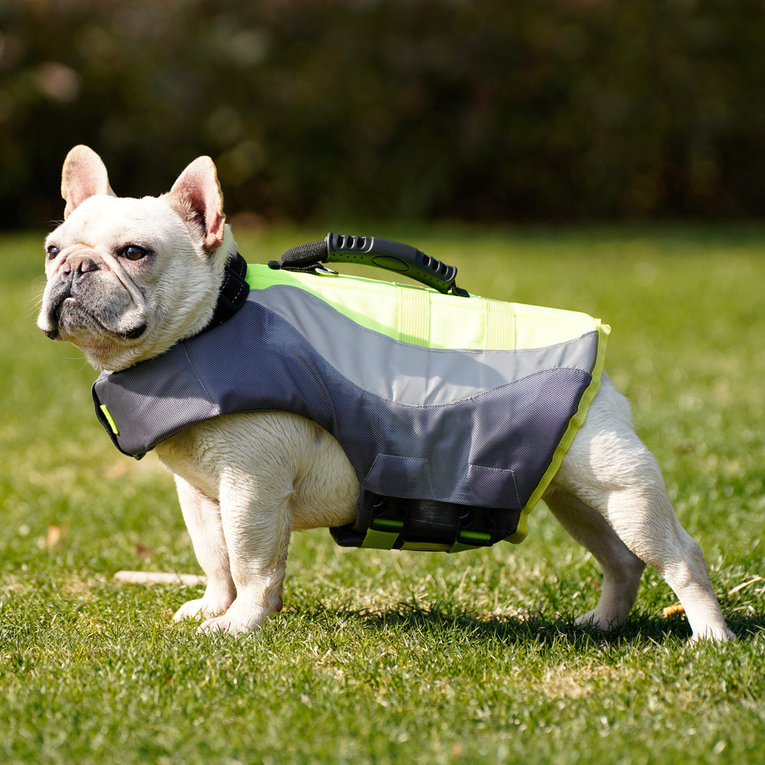 Reflective Pet Swimsuit Life Jacket Safe Buoyant Comfortable