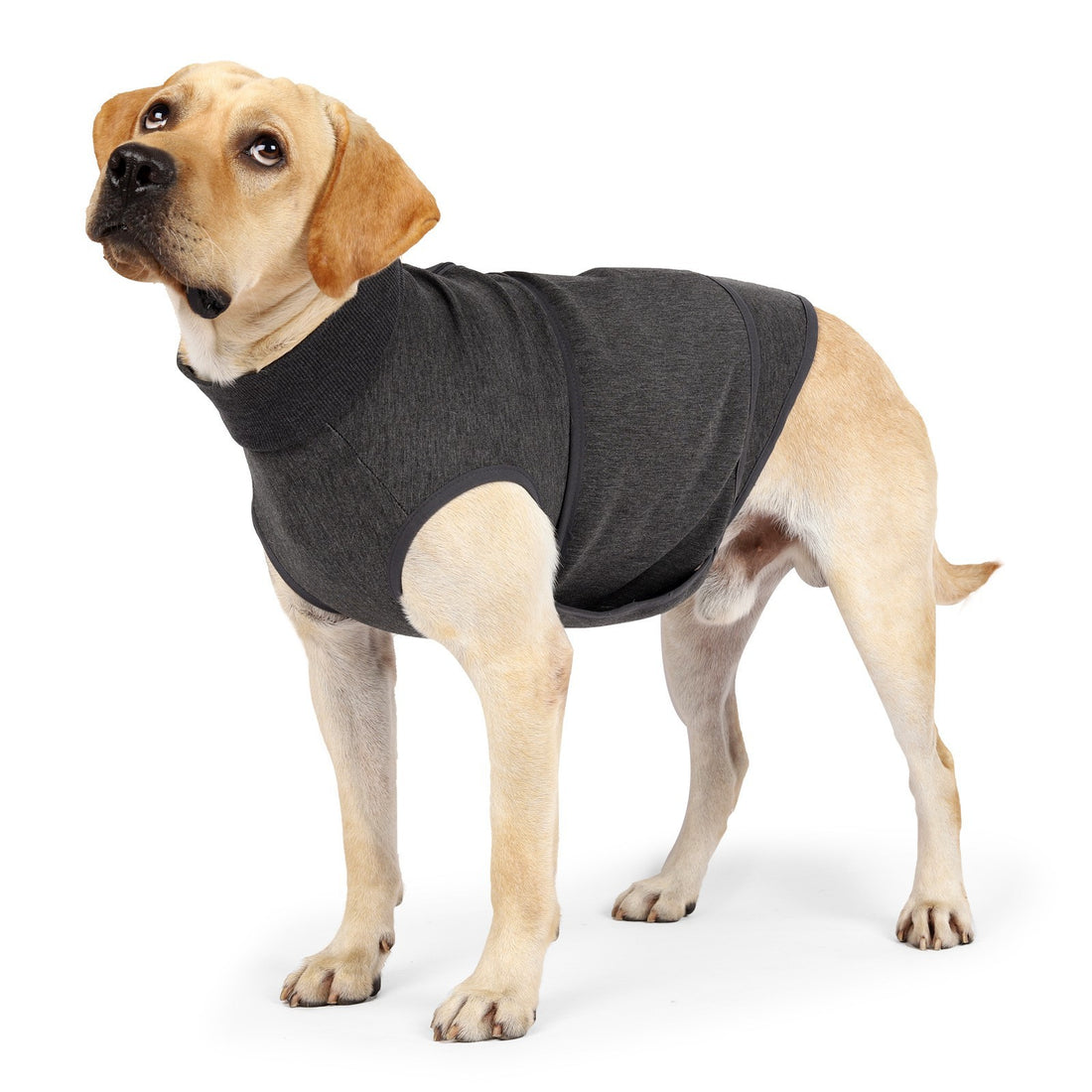 Pet Double-Layer Comfort Cotton Polyester Jacket