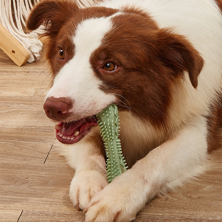 Pet Chew Toy Teeth Cleaning Dental Aid