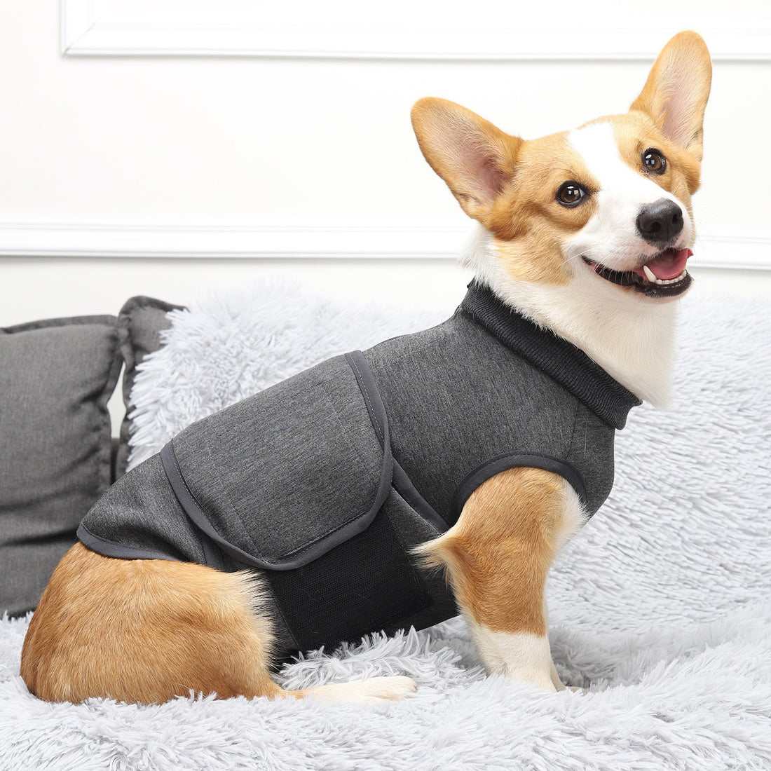 Pet Double-Layer Comfort Cotton Polyester Jacket