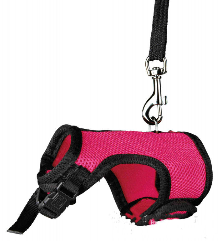 Compact Pet Leash For Small Pets