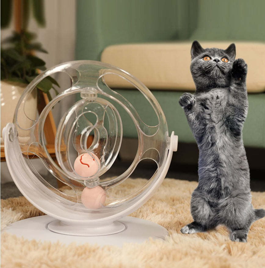 Pet Turntable Educational Interactive Learning Toy