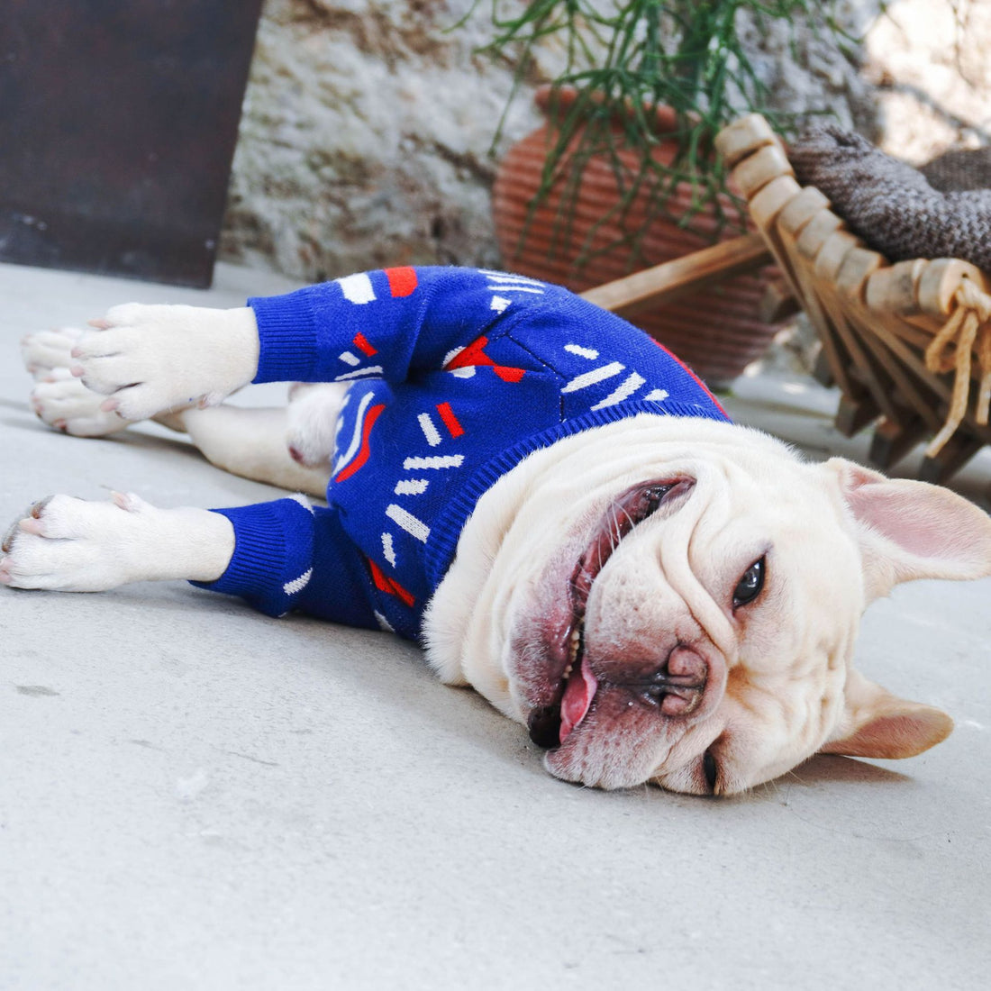 Pet Sweater Warm Comfortable Knit Clothing