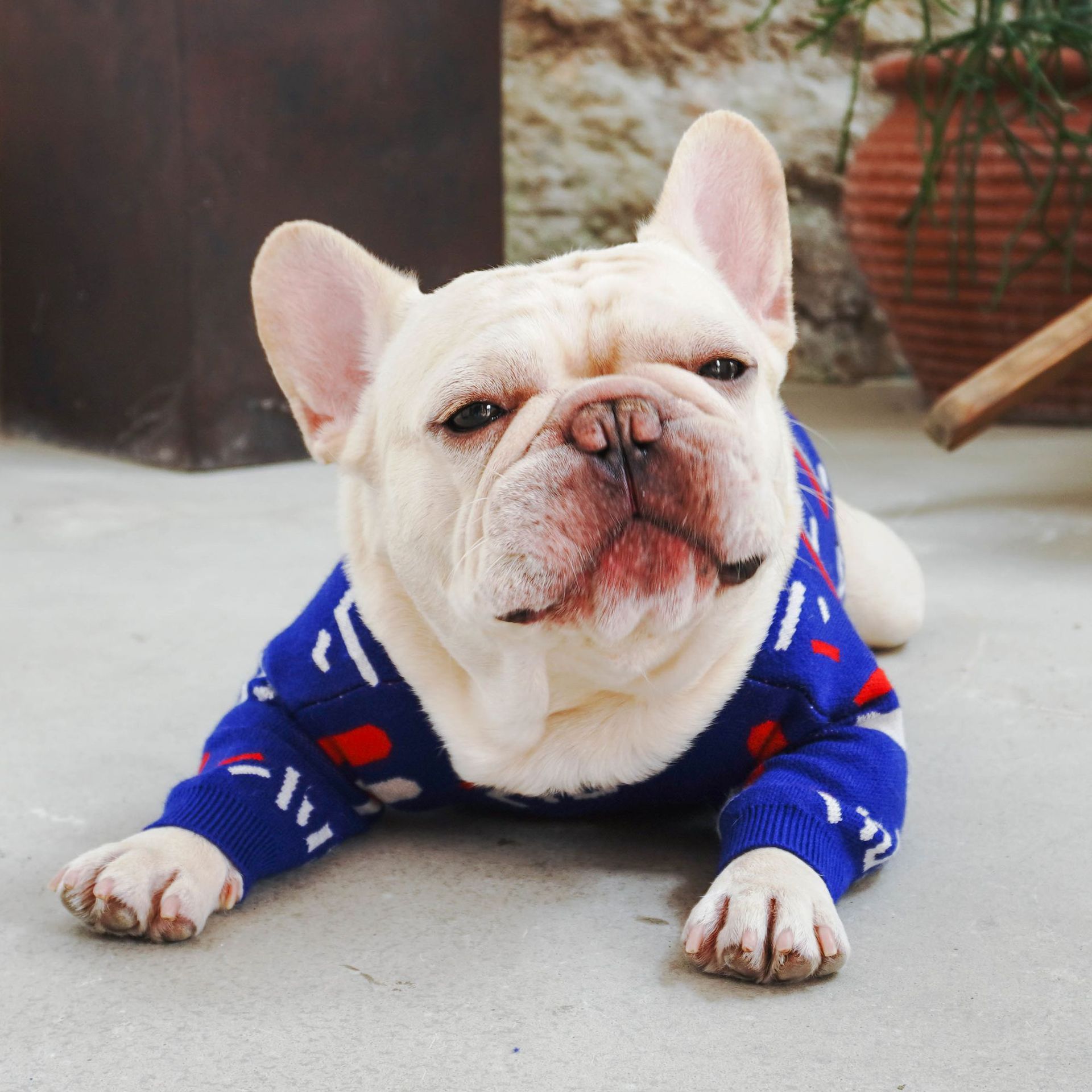 Pet Sweater Warm Comfortable Knit Clothing