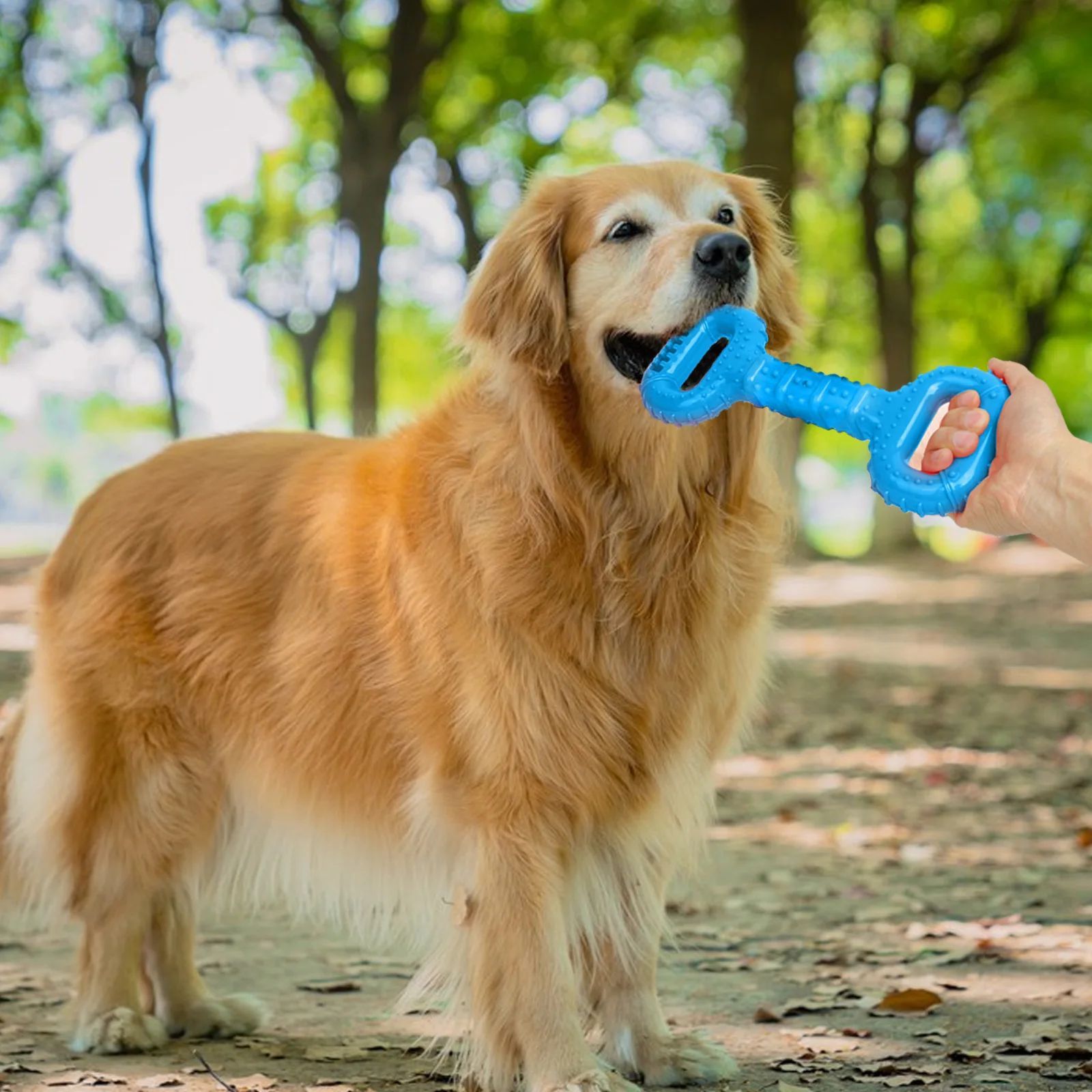 Durable Interactive Pet Chew Bone Long-Lasting Toy