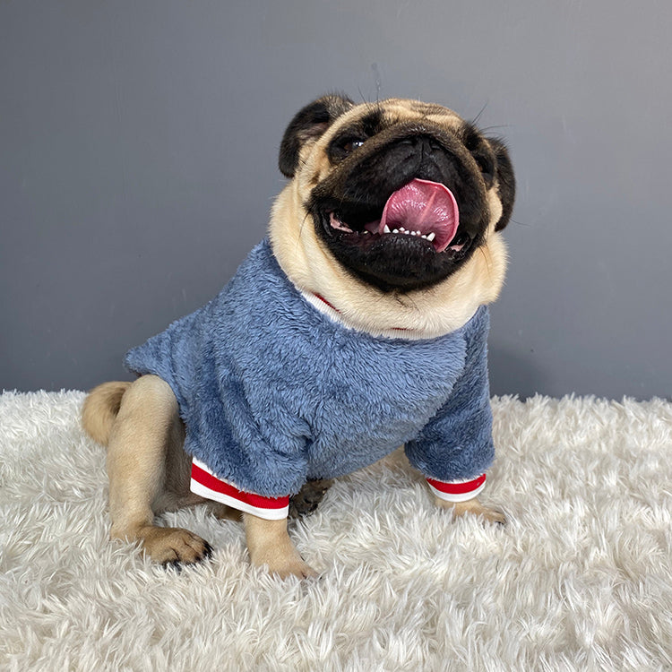 Warm Comfortable Pet Sweater Soft Cozy Everyday Wear