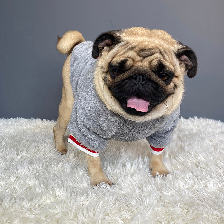 Warm Comfortable Pet Sweater Soft Cozy Everyday Wear