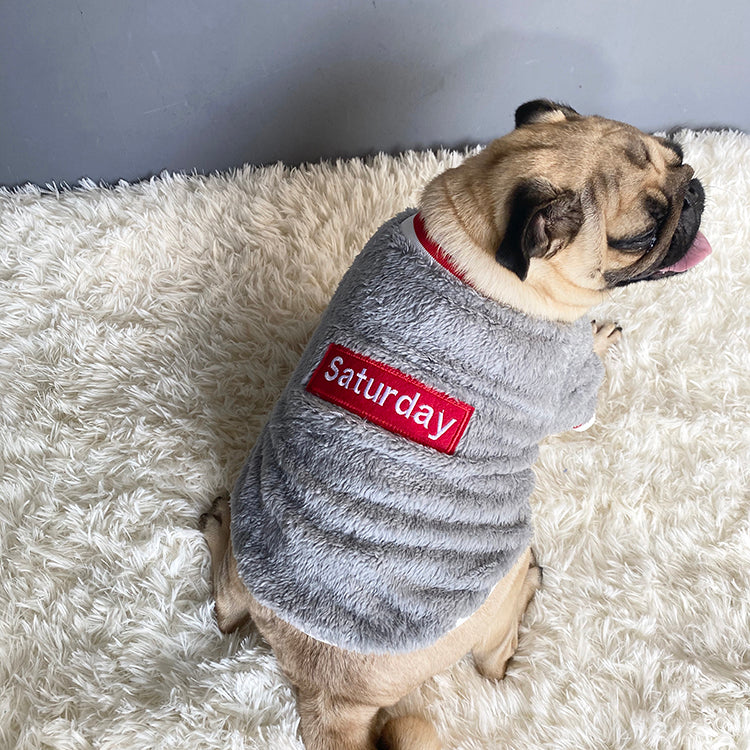 Warm Comfortable Pet Sweater Soft Cozy Everyday Wear
