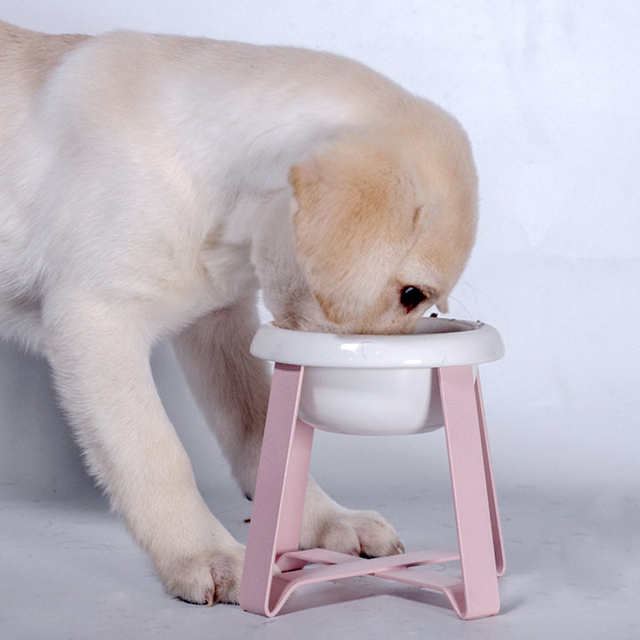 Creative Anti-Slip Pet Bowl 2-in-1 Feeder
