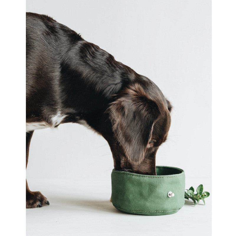 Folding Canvas Portable Pet Feeding And Water Bowl