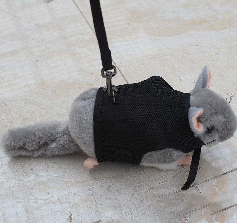 Compact Pet Leash For Small Pets