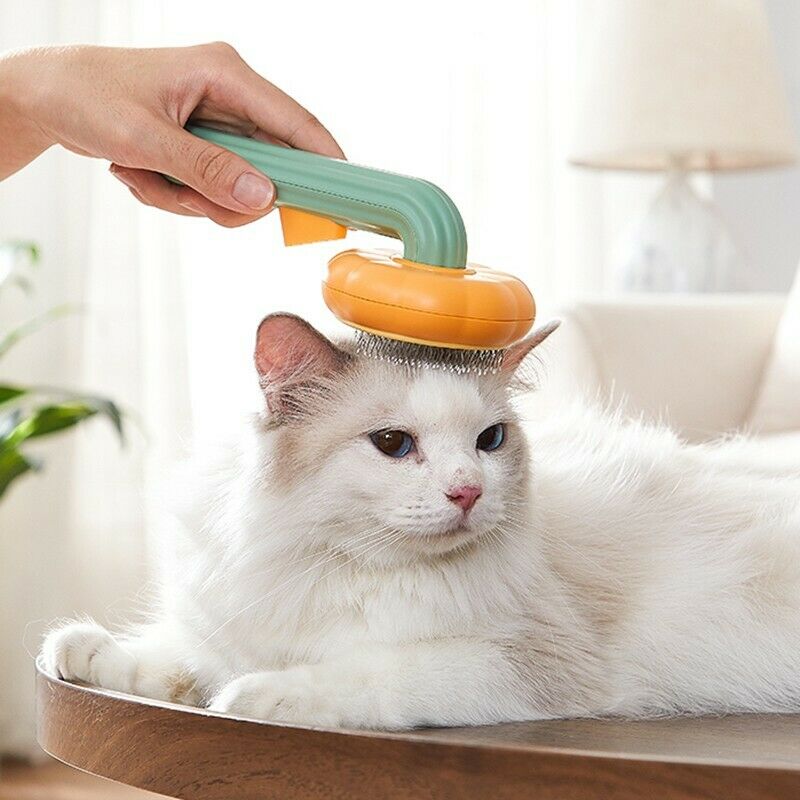 Pumpkin Self-Cleaning Pet Grooming Slicker Brush