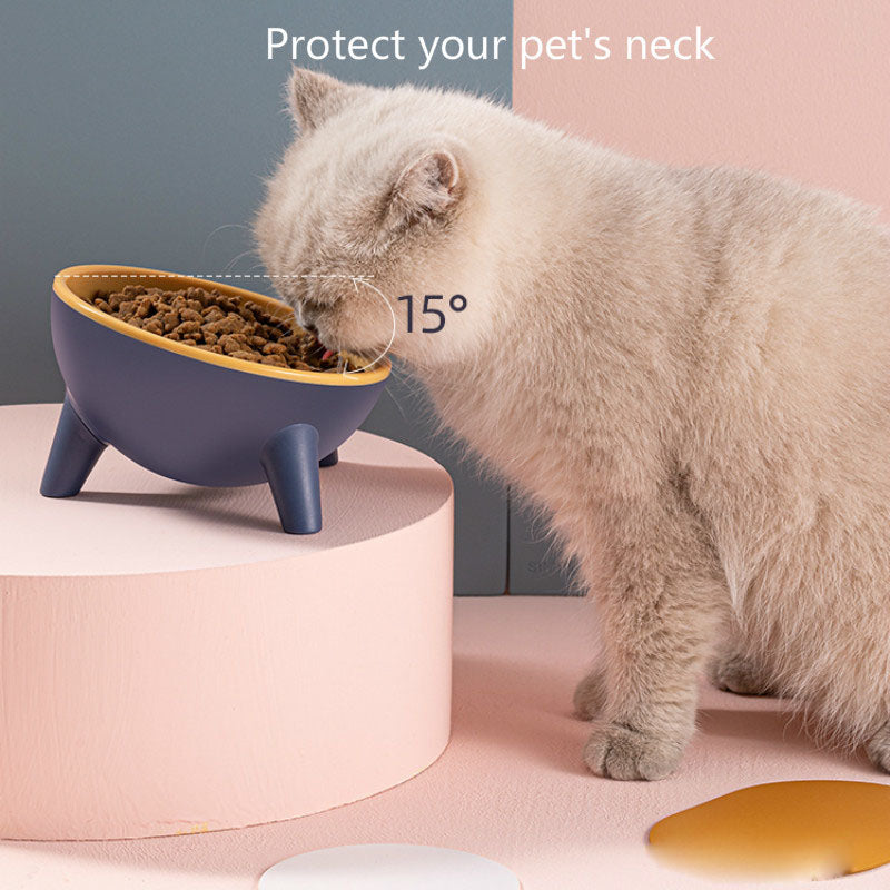 Elevated Pet Feeding Bowl Stand Nordic Design