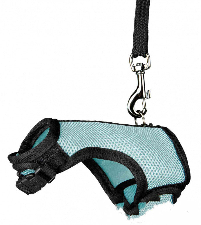 Compact Pet Leash For Small Pets