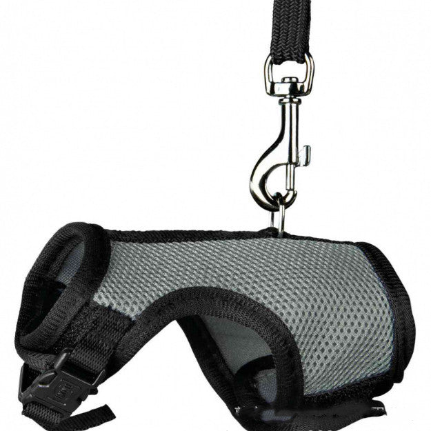 Compact Pet Leash For Small Pets