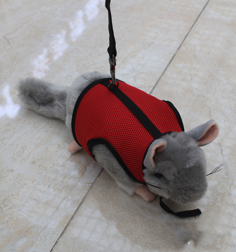 Compact Pet Leash For Small Pets