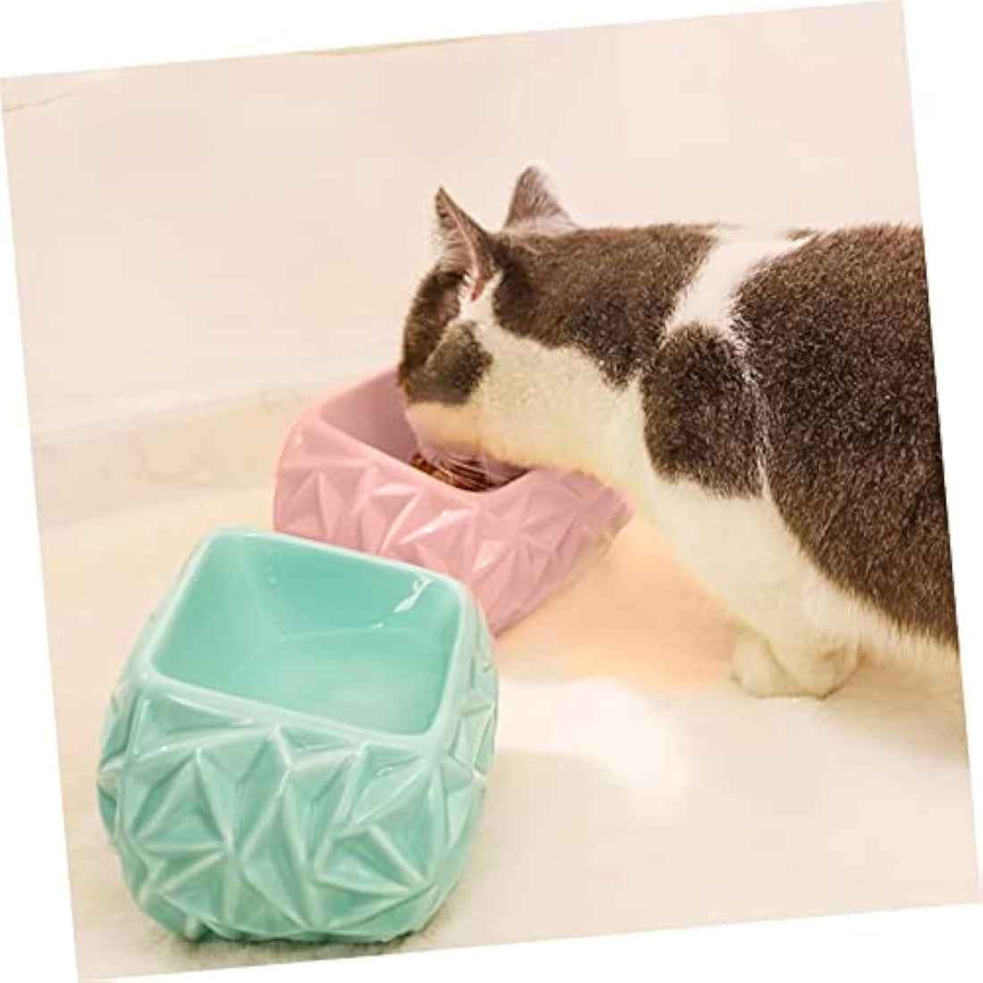 Ceramic Pet Feeding Bowl Cute Design Treat Water