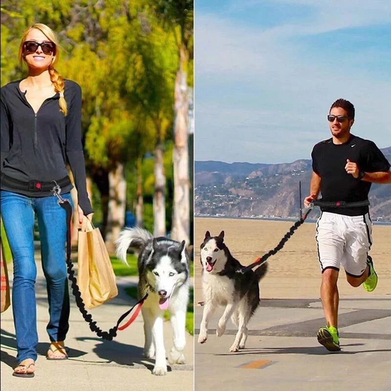 Adjustable Pet Harness Collar With Leash
