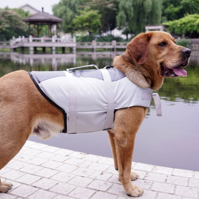 Pet Safety Life Jacket