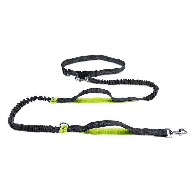 Adjustable Pet Harness Collar With Leash