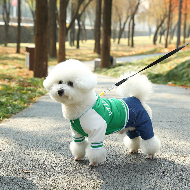 Four-Legged Fashion Sweater for Pets