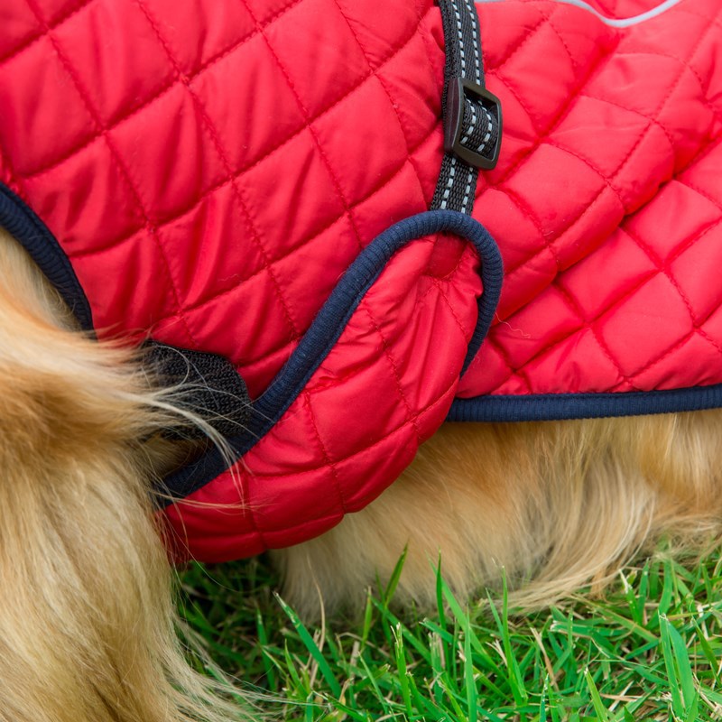 Adjustable Warm Cotton Jacket for Pets