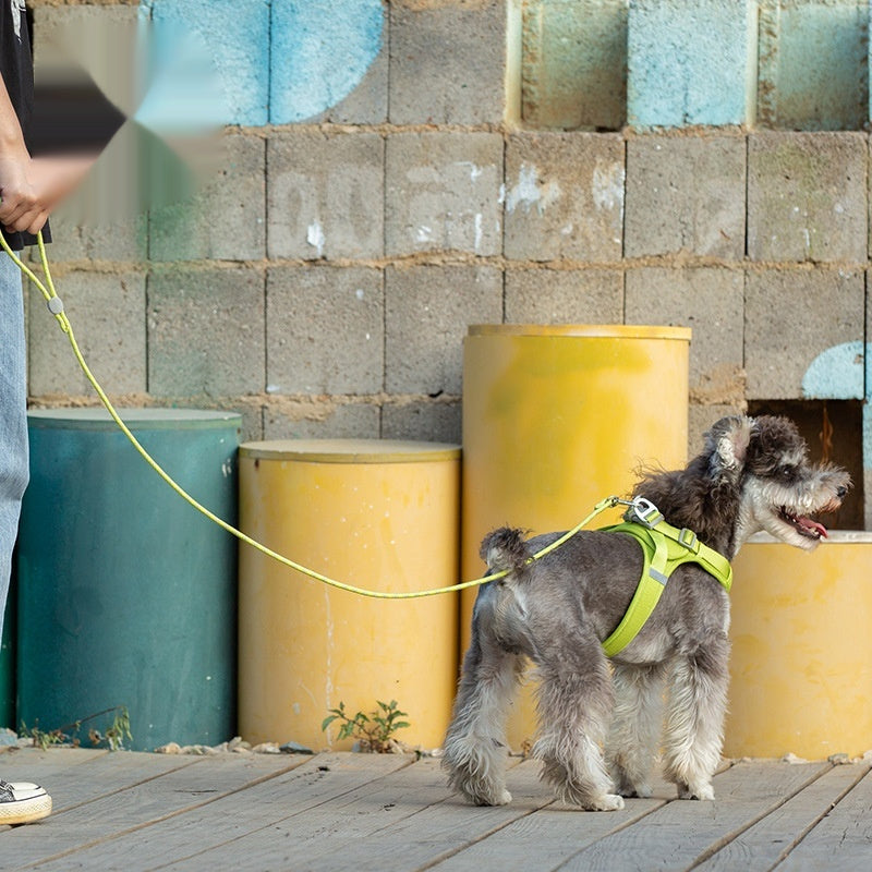 Adjustable Sliding Multi-Color Pet Leash