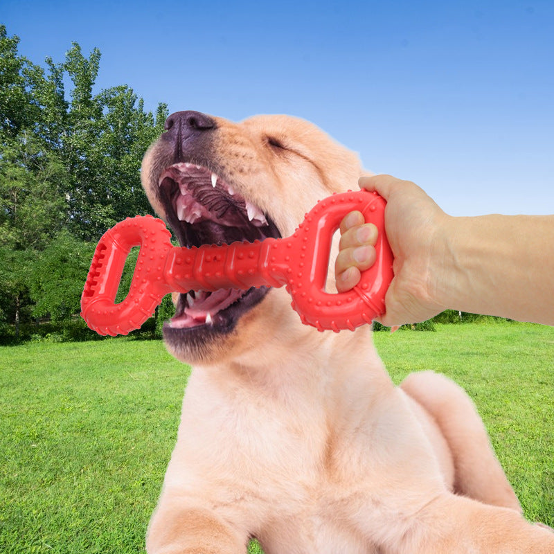 Durable Interactive Pet Chew Bone Long-Lasting Toy