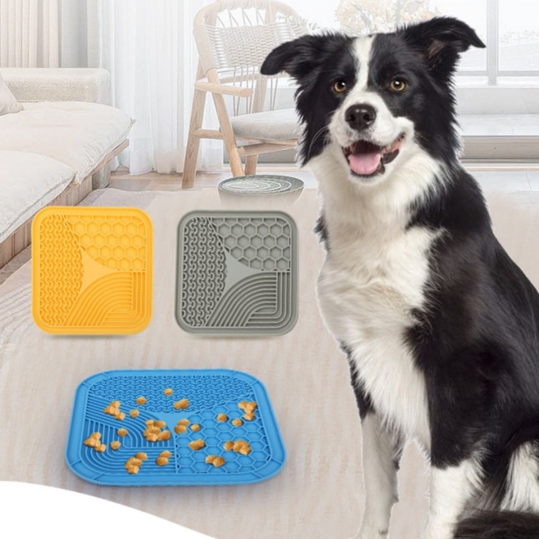 Anti-Choke Slow Feeding Pet Bowl