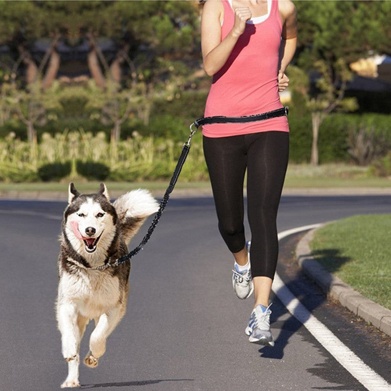 Adjustable Pet Harness Collar With Leash