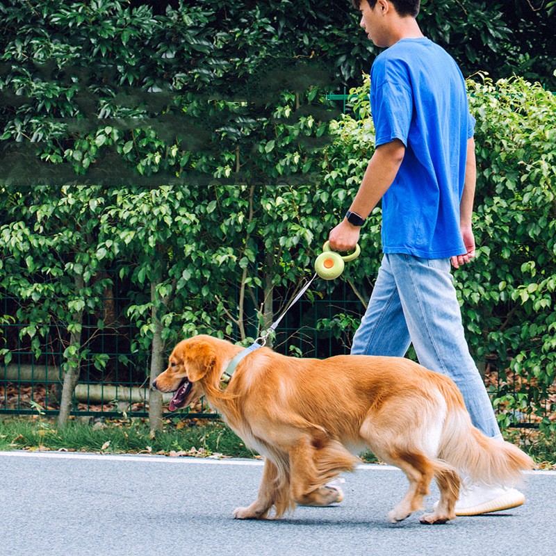 Retractable Reflective Pet Leash