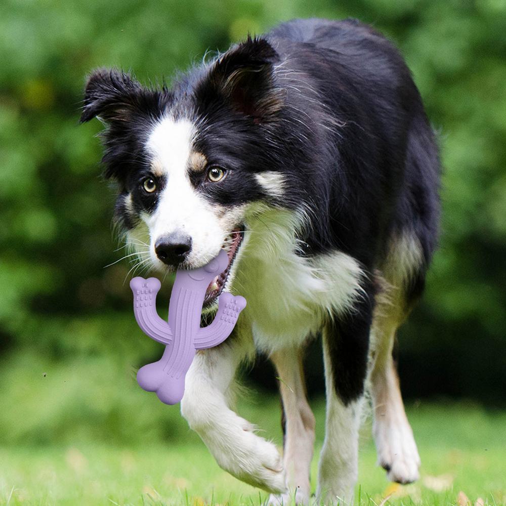 Cactus Chew Toy Ultra Durable Interactive Pet Toy