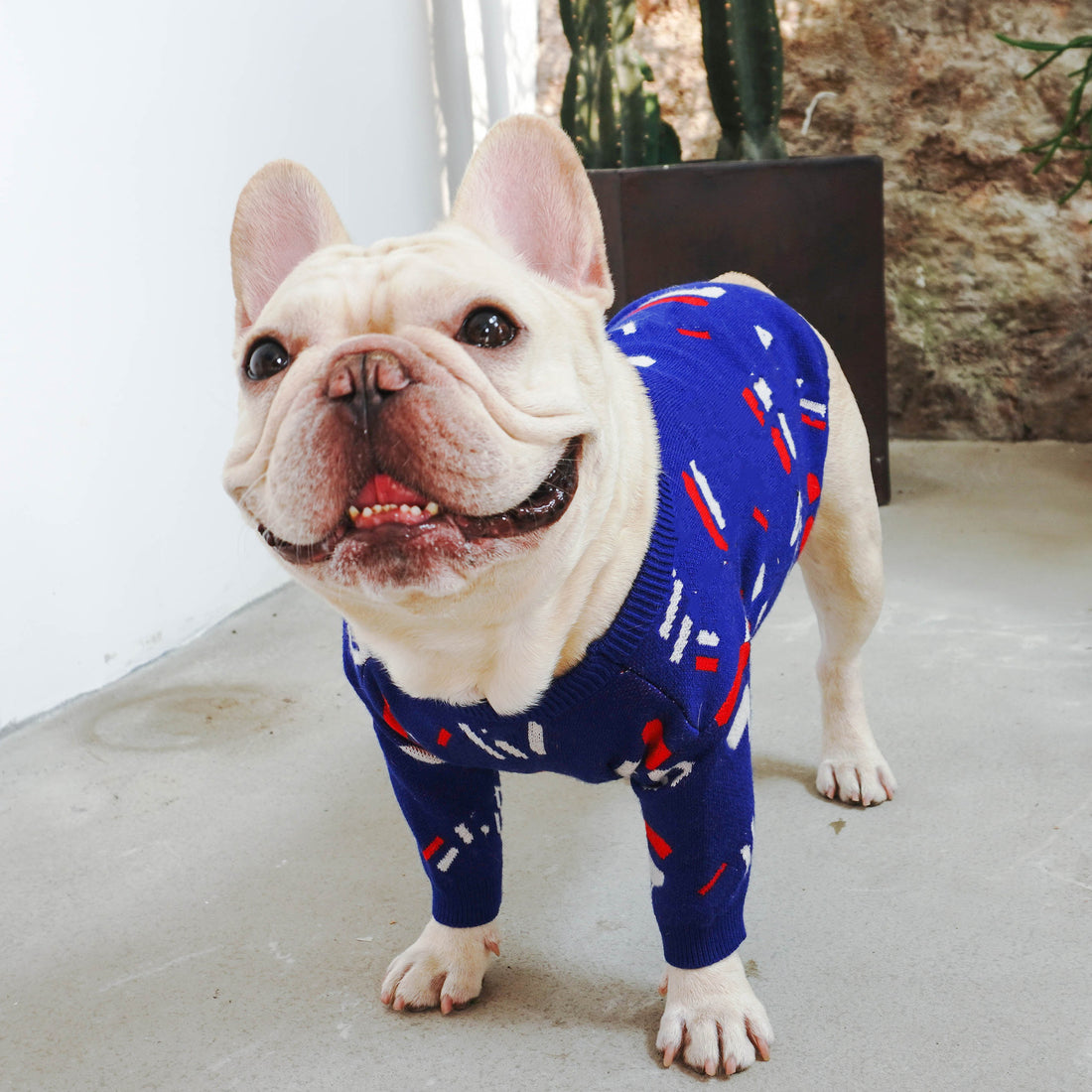 Pet Sweater Warm Comfortable Knit Clothing