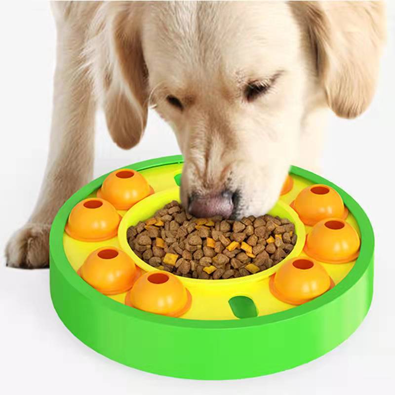 Pet Puzzle Toy Slow Feeder Treat Dispenser Interactive