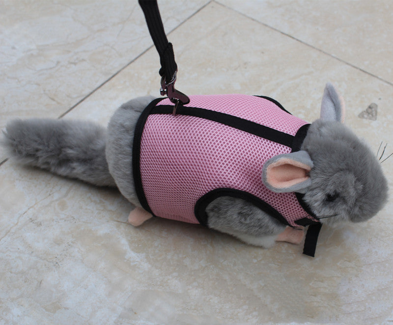 Compact Pet Leash For Small Pets