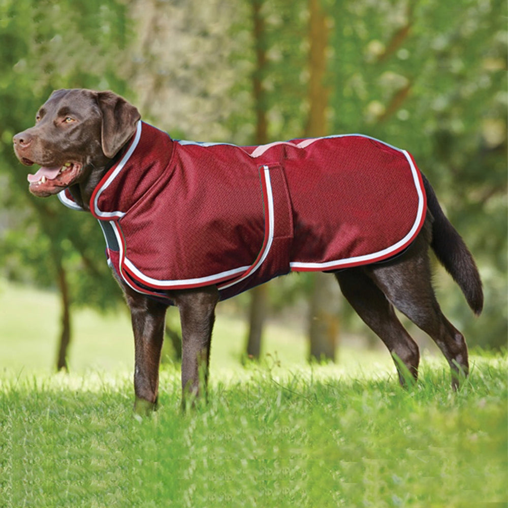 Autumn-Winter Warm Waterproof Leisure Jacket for Pets