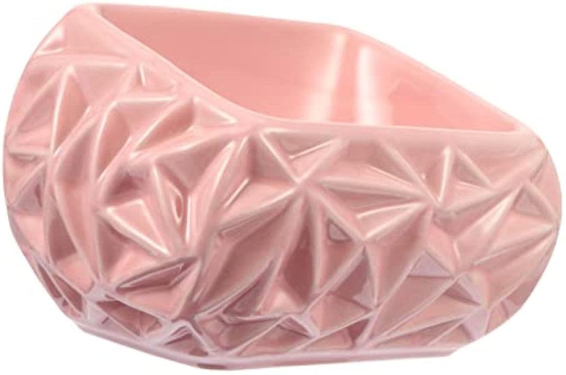 Ceramic Pet Feeding Bowl Cute Design Treat Water