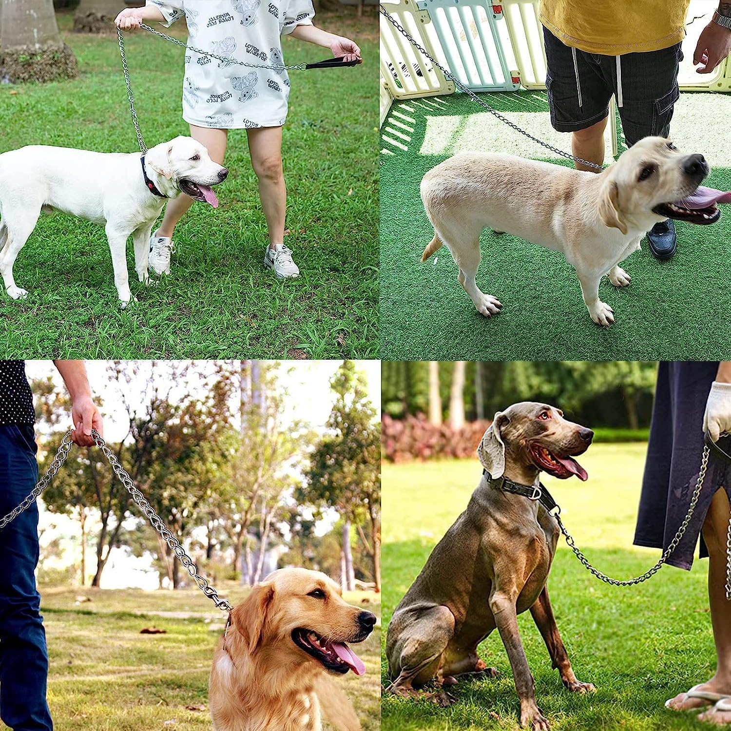 Heavy-Duty Metal Pet Leash With Padded Handle