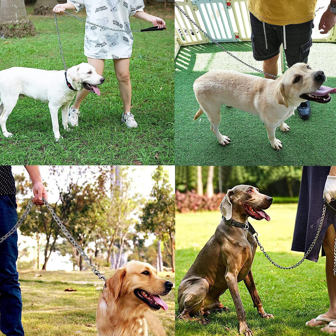 Heavy-Duty Metal Pet Leash With Padded Handle
