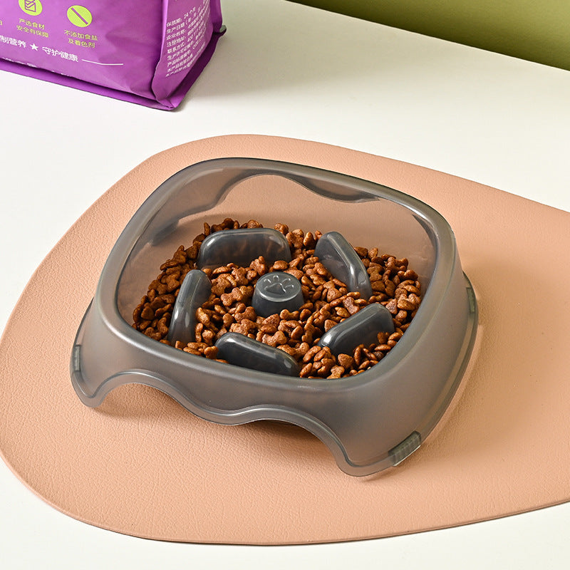 Slow Anti-Choking Pet Water And Food Bowl