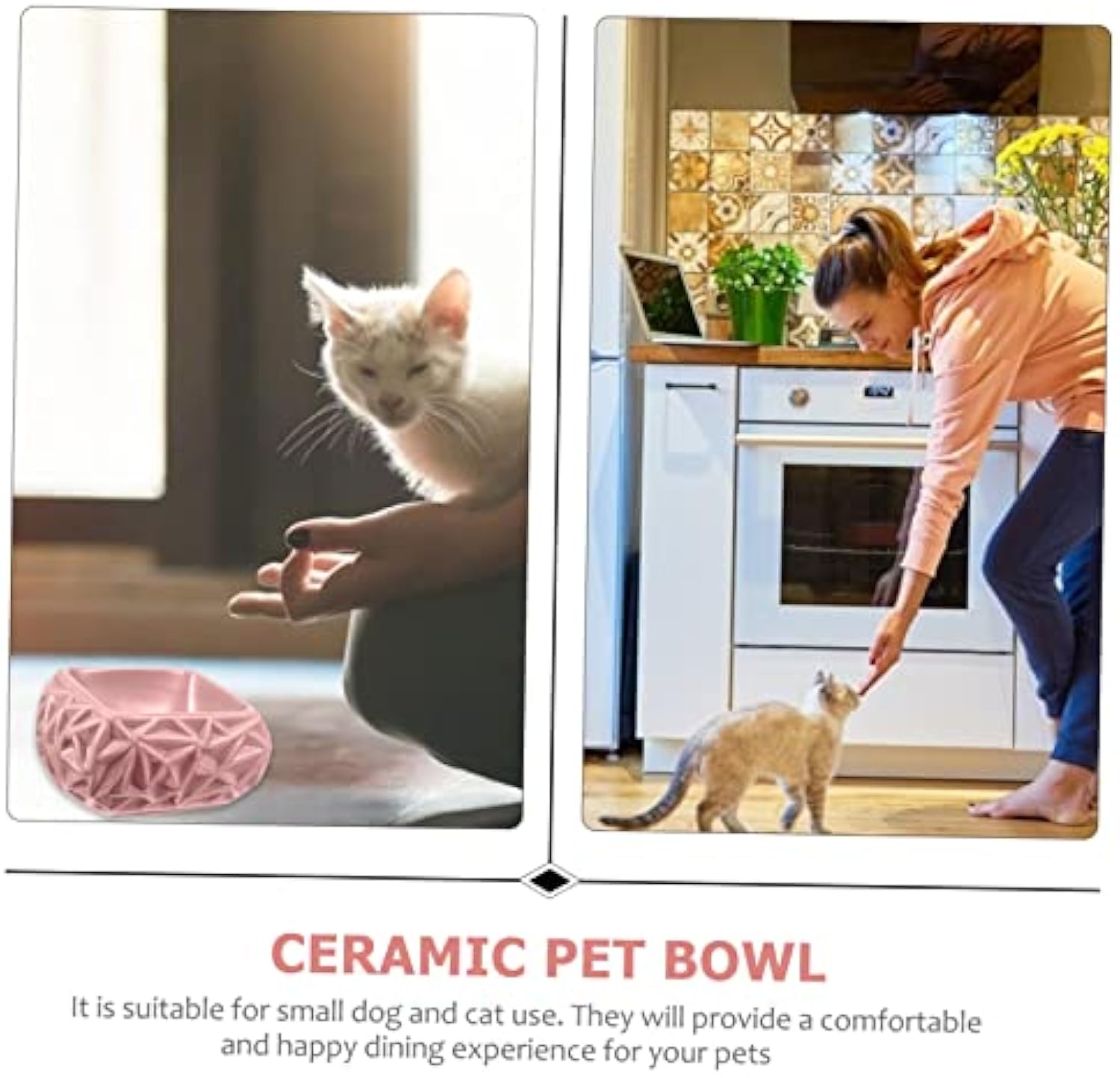 Ceramic Pet Feeding Bowl Cute Design Treat Water