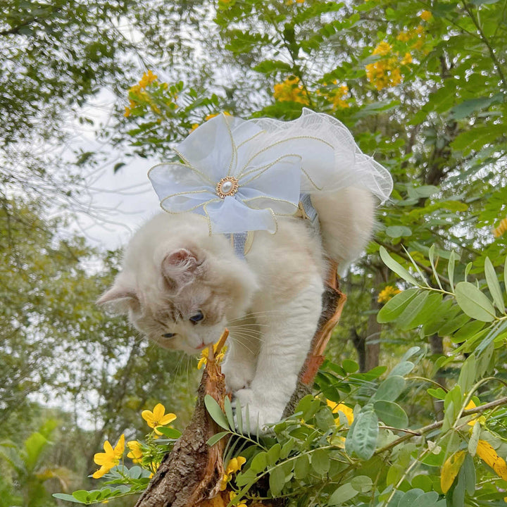 Universal Yarn Pet Leash For Cats And Puppies