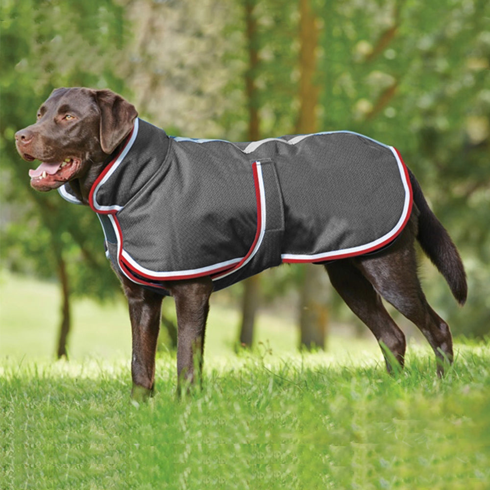 Autumn-Winter Warm Waterproof Leisure Jacket for Pets