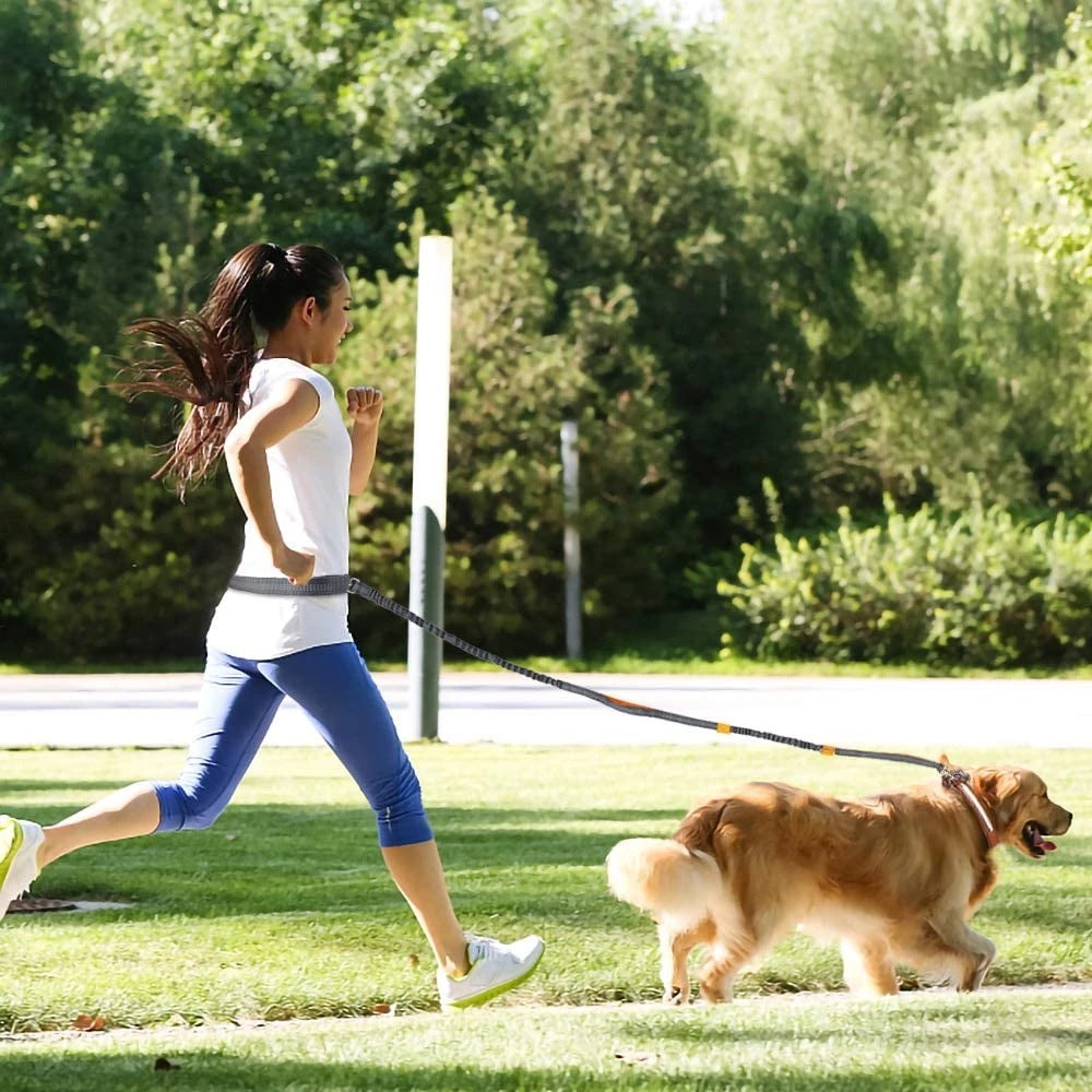 Adjustable Pet Harness Collar With Leash