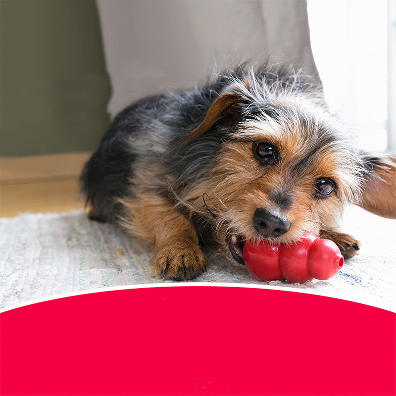 Bite Resistant Rubber Pet Chew Toy Durable Interactive