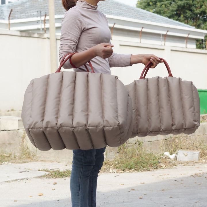 Portable Carrier for Pet Travel