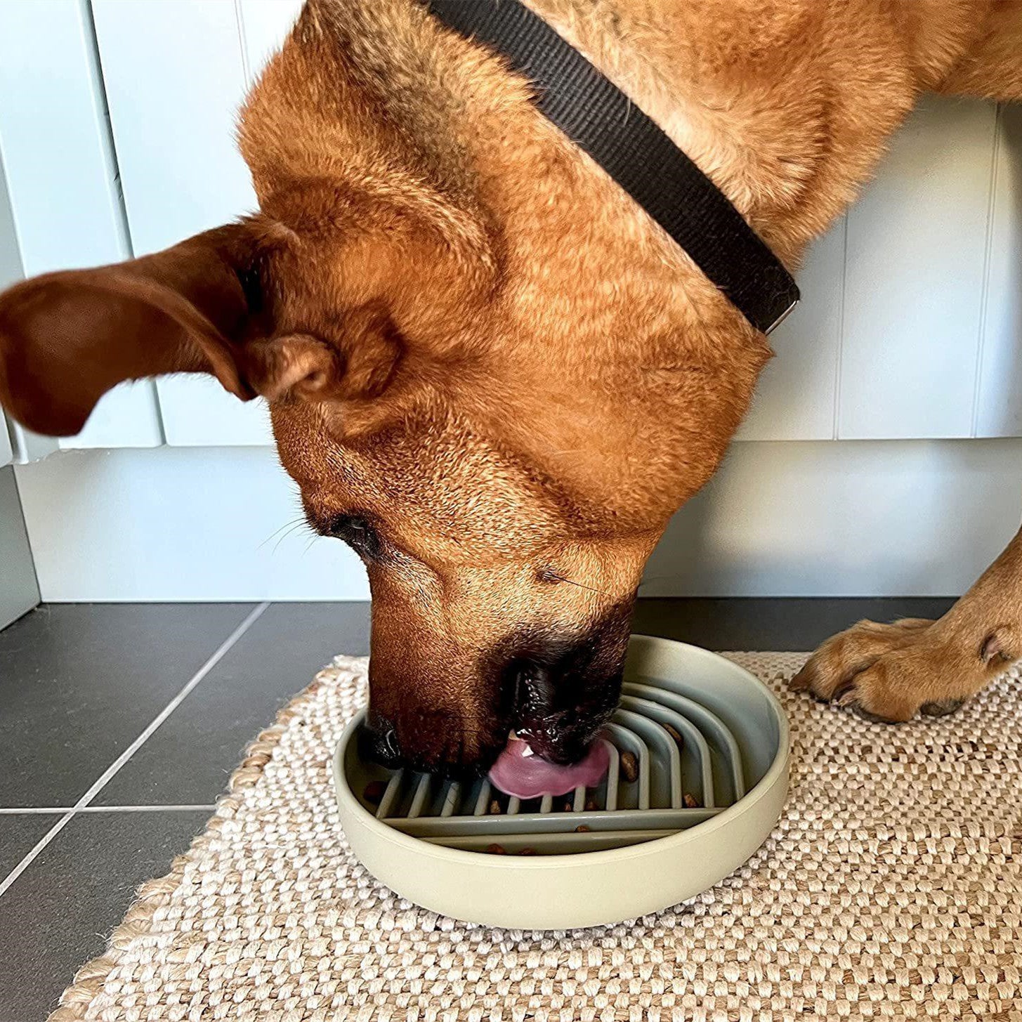 Fashionable Simple Slow Feeding Pet Bowl